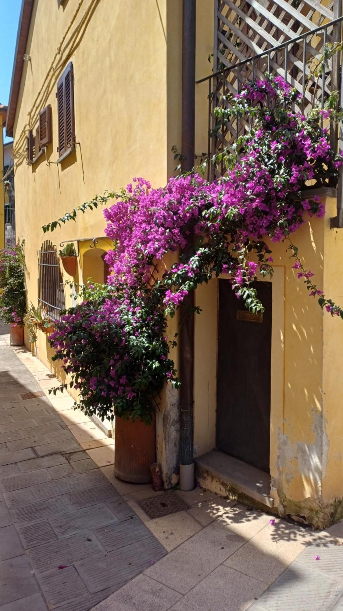 Il Grillo Villa Rosignano Marittimo Exterior photo